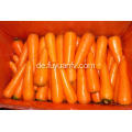 Großhandel organischer frischer Karottenpreis